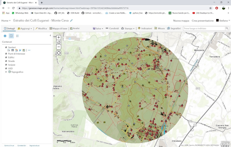 ArcGIS Pro Webgis