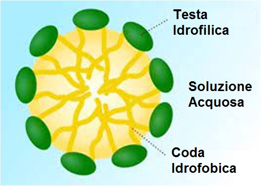 pfas pfoa struttura micelle