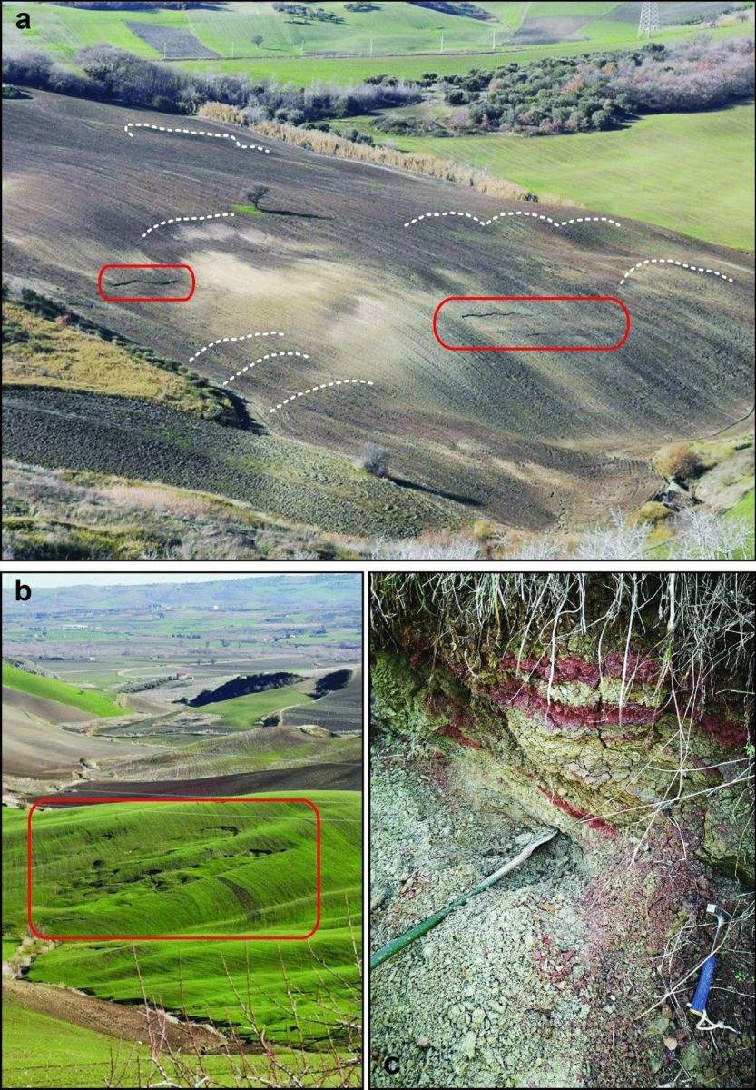 Increase in landslide activity after a low-magnitude earthquake as inferred from DInSAR interferometry