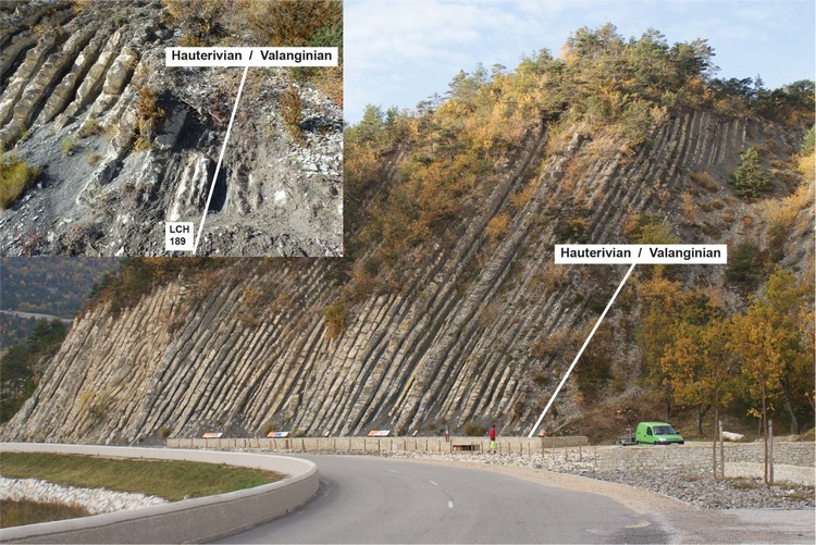 Hauterivian Stage (132.9Ma) - La Charce, Department of Drôme, France