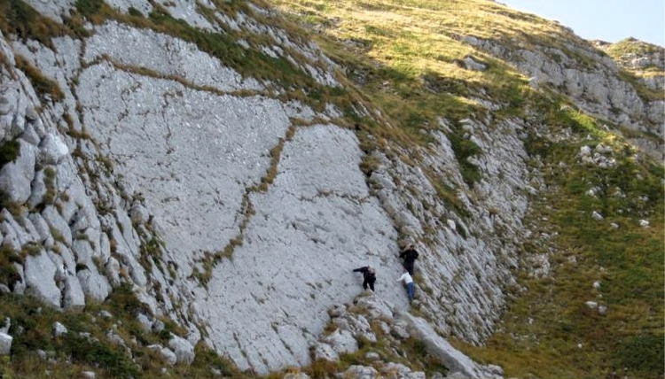 INGV. in Abruzzo le impronte del piÃ¹ grande dinosauro bipede finora documentato in Italia