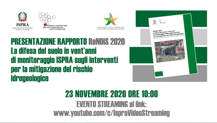 Workshop, presentazione del Rapporto ReNDIS 2020